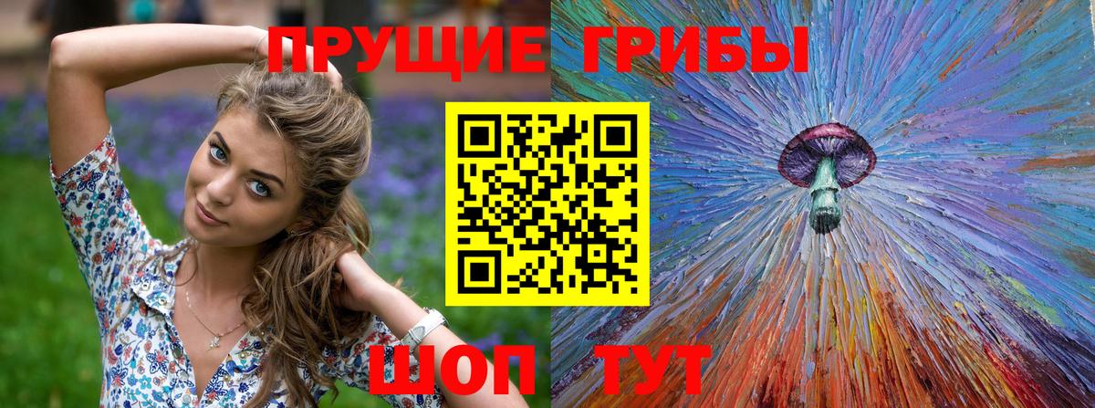 Галлюциногенные грибы MAGIC MUSHROOMS  Вход с VPN  купить закладку  Отрадный 