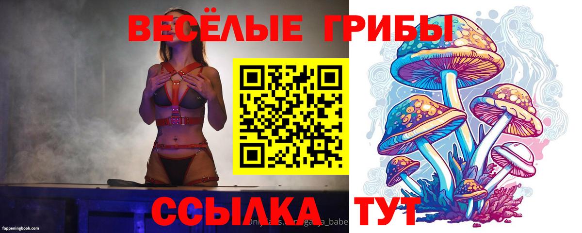 Галлюциногенные грибы MAGIC MUSHROOMS Отрадный